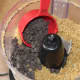 Add the chocolate chips, and pulse until just combined.
