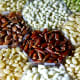 Different varieties of rice