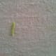 Figure 1: Make a running stitch