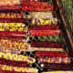 Painted Mountain corn cobs