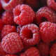 Fresh raspberries