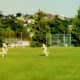 Cricket played in in the park