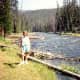 Gibbon Falls area
