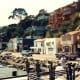 Sausalito shoreline with houses built into the hillside.