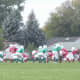 Line of scrimmage. Waiting for the snap to the quarterback to begin play.