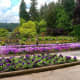 Italian gardens in Butchart Gardens