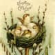 Cute little chicks in a nest. Russian post card from before 1917.