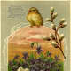 Old Russian Easter Postcard from before 1917.