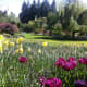 pictoral-views-of-queen-elizabeth-park--bloedel-conservatory-in-vancouver