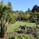 pictoral-views-of-queen-elizabeth-park--bloedel-conservatory-in-vancouver