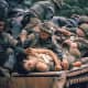 An Iconic photograph taken of wounded Americans riding atop an M-60 Patton tank during the battle for Hue. One in every ten American soldiers who served in Vietnam was killed or wounded. 119 Americans lost their lives in the battle to re-take Hue.