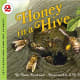 Honey in a Hive (Let's-Read-and-Find-Out Science 2) by Anne Rockwell