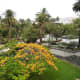 Overlooking Parque Doramas.