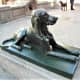 Bronze-effect dog statue, Plaza de Santa Ana, Las Palmas.