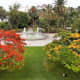 Water feature at Parque Doramas.