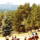 Riding horses in Upper Beaver Meadow