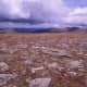 Tundra View