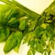 Basil, flat-leafed parsley, and garlic chives