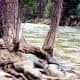 Views of the river