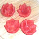 Scooped out star cut tomatoes