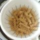 Cooked and drained fusilli pasta