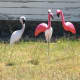 pink-flamingos-and-kitsch-art