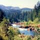 Forested areas near Roseburg with the Umpqua River - Notice the fisherman.
