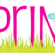 Bright pink Spring with green grass and blue butterfly