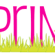 Bright pink Spring text with green grass and yellow baby chick