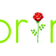 Green Spring text with red rose