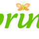 Green Spring with orange butterfly