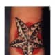 star-tattoo-ideas-and-inspiration-star-tattoo-gallery
