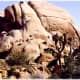 These rocks are composed of quartz monzonite.