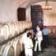 Touring the cellar