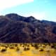 death-valley-national-park-photos-and-impressions-of-extremes