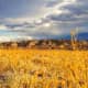 Death Valley National Park