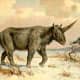 extinct-giant-siberian-unicorn-facts