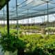 brookwood-community-special-place-for-people-with-disabilities