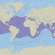 Range of the Hawksbill turtle