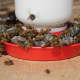 Honey bee feeder is packed on a warm February afternoon in Georgia