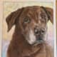 best-animalart-ever