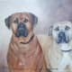 A gift to my nephew and his wife...these two dogs are adored and loved.... Source