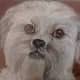 best-animalart-ever