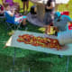 live-crawfish-or-mudbugs-cooking-crawfish-crawfish-season
