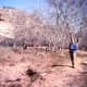 high-rise-living-in-700-ad-montezuma-castle-national-monument