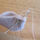 scrap-bunnies-how-to-make-adorable-stuffed-bunnies-out-of-socks-and-craft-scraps