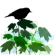 bird in a tree clipart