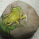 Frog rock