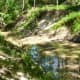 Cypress Creek