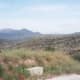 The Mycenaean countryside: lonely and gusty and sweet with orange blossoms.
